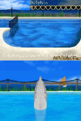 My Pet Dolphin (Europe) (En,Fr,De,Es,It) (Rev 1) screen shot game playing